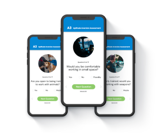 examples of aptitude test questions